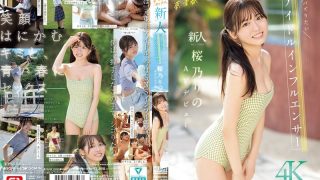 SONE-662 Giấc Mơ, Tuổi Trẻ và Tình Yêu – Idol Mới No.1Style Sakura Rino Ra Mắt AV